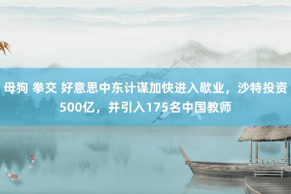 母狗 拳交 好意思中东计谋加快进入歇业，沙特投资500亿，并引入175名中国教师