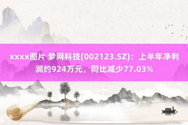 xxxx图片 梦网科技(002123.SZ)：上半年净利润约924万元，同比减少77.03%