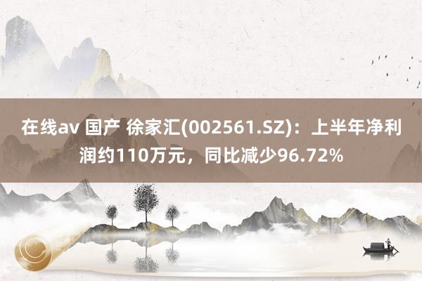 在线av 国产 徐家汇(002561.SZ)：上半年净利润约110万元，同比减少96.72%