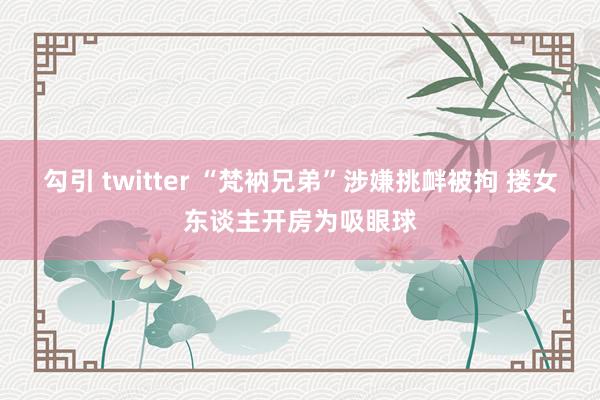 勾引 twitter “梵衲兄弟”涉嫌挑衅被拘 搂女东谈主开房为吸眼球